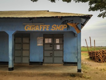 For all your giraffe needs. Not sure how they fit in such a small shop?