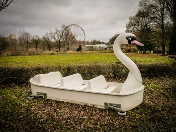 Swan boat on the grass with the ferris wheel in the distance