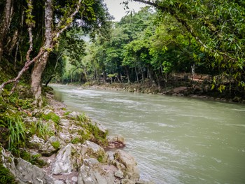 The Cahabón River