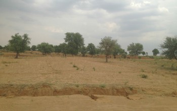 Desert Rajasthan