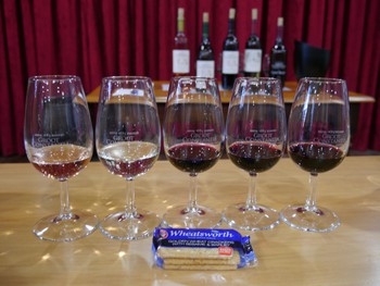 Wine tasting at Groot Constantia winery
