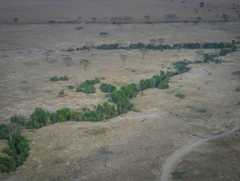 Green trees line the waterways