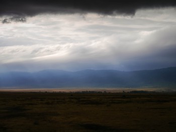 Light rays cutting through the grey