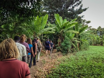 walking through the farms