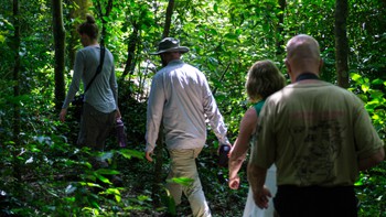 Chimp tracking