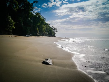 First person to walk the beach today. No foot prints to be seen!