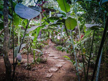 Another path through the gardens