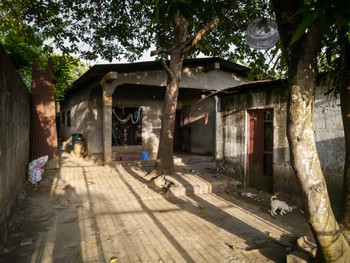 My homestay house