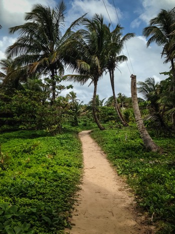 The path to my beach hotel