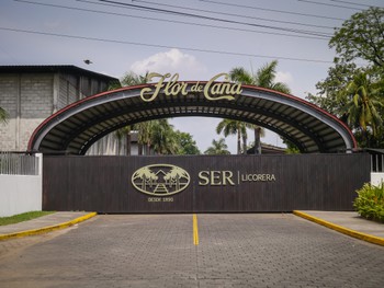 Flor de Caña