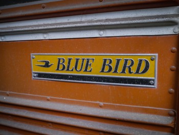 Blue Bird