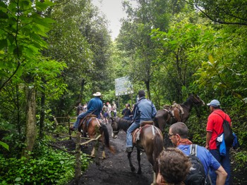 These guys followed us trying to get us to ride their horses up. Doubly anoying for me as they set off my horse allergy