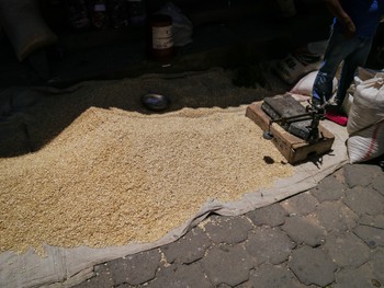 Grains drying