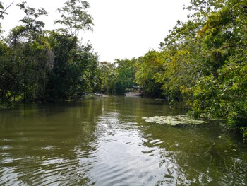 The Rio Dulce