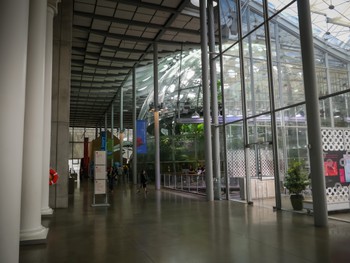 Rainforest dome at California Academy of Science