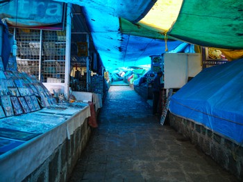 Shitty little trinket stalls lined both sides of the several hundred meters of steps up to the Elephanta caves