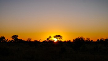 Stunning Sunrise in Botswana