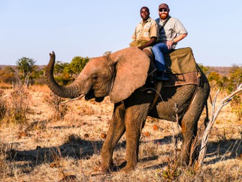 Riding a hefalump